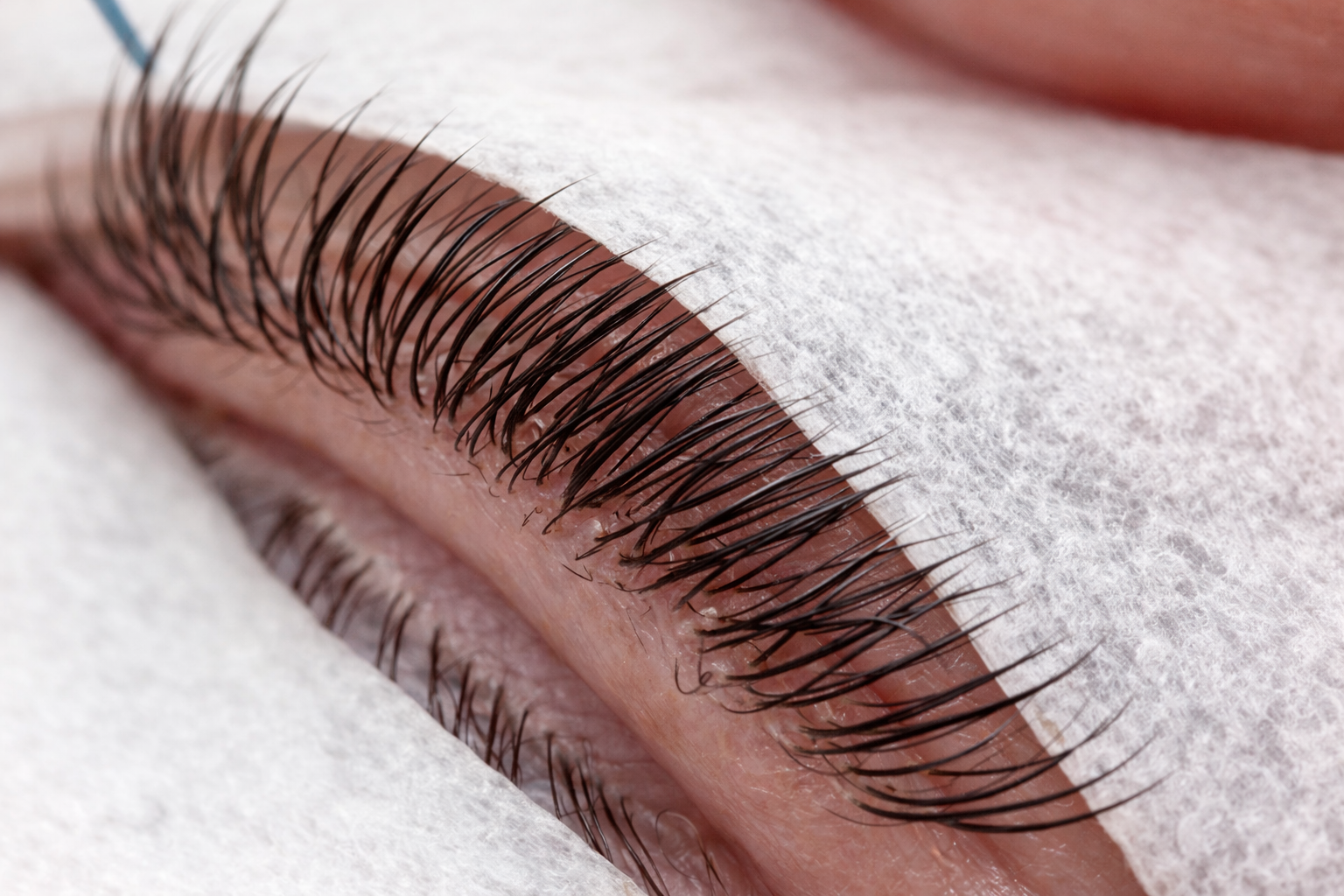 Close-up of natural lashes showing lash layers and structure with eye pads