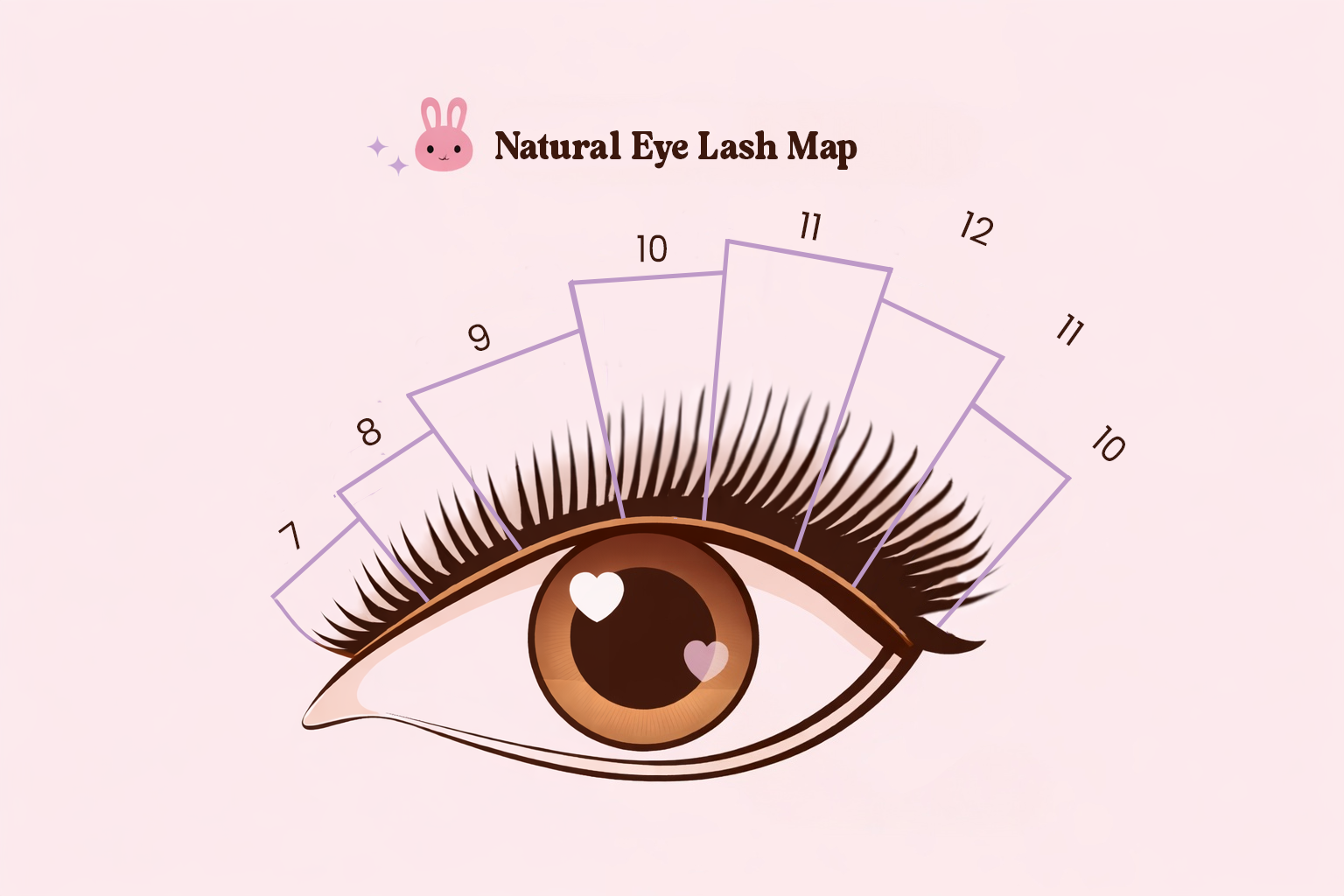 Natural eye lash map length progression